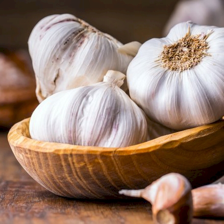 Ginger, Garlic & Sprout