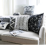 Decorative Pillows