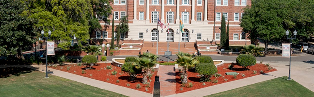 blog image